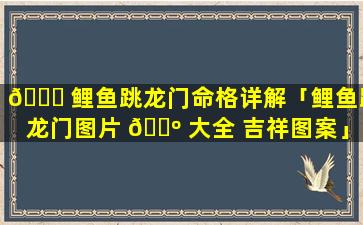 🍀 鲤鱼跳龙门命格详解「鲤鱼跳龙门图片 🌺 大全 吉祥图案」